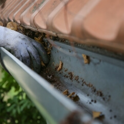 Rain gutter clean out